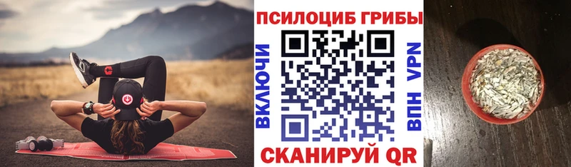 продажа наркотиков  Ивангород  Галлюциногенные грибы MAGIC MUSHROOMS 